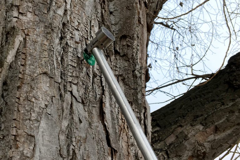 Aluminiumnägel Baum